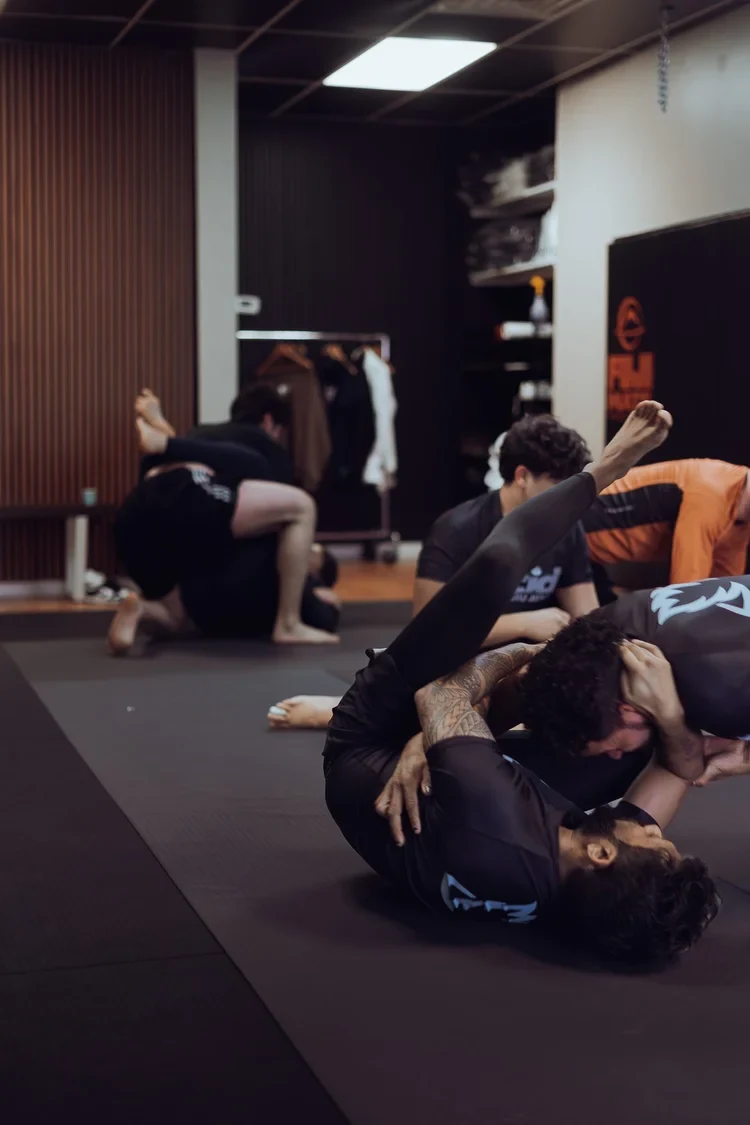 Adults training Brazilian Jiu Jitsu during a technical class at Lucid Jiu Jitsu in Hewlett NY